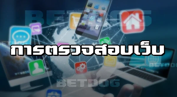 Betdog โกงไหม