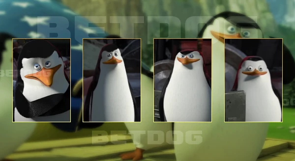 ตัวละคร มาดากัสการ์