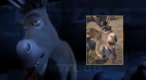 ประวัติ ดองกี้