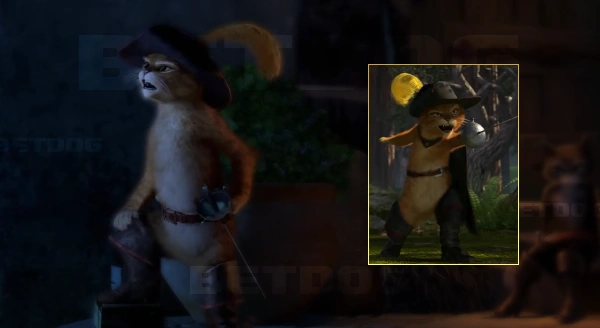 ประวัติ พุซอินบู๊ทส์