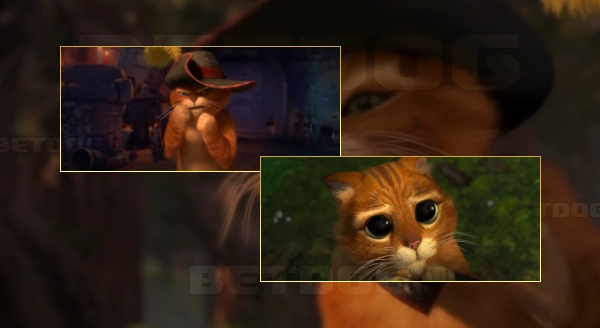 ประวัติ พุซอินบู๊ทส์