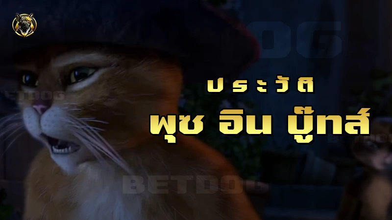 ประวัติ พุซอินบู๊ทส์