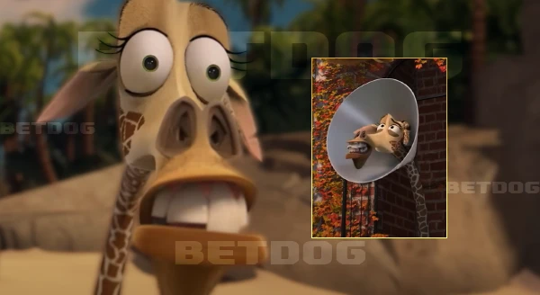 ประวัติ เมลแมน