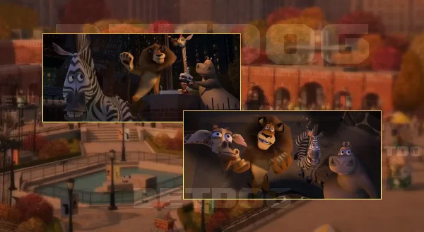 รีวิว มาดากัสการ์