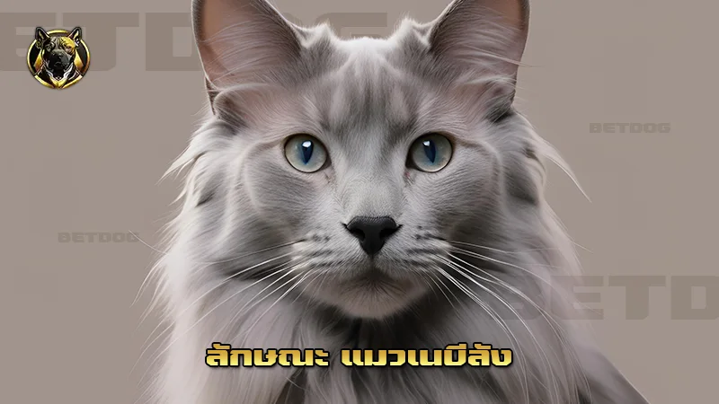 ลักษณะ แมวเนบีลัง