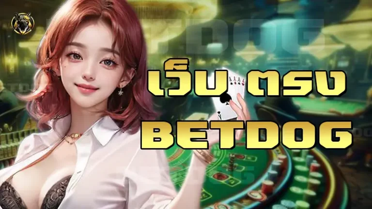 เว็บ ตรง Betdog