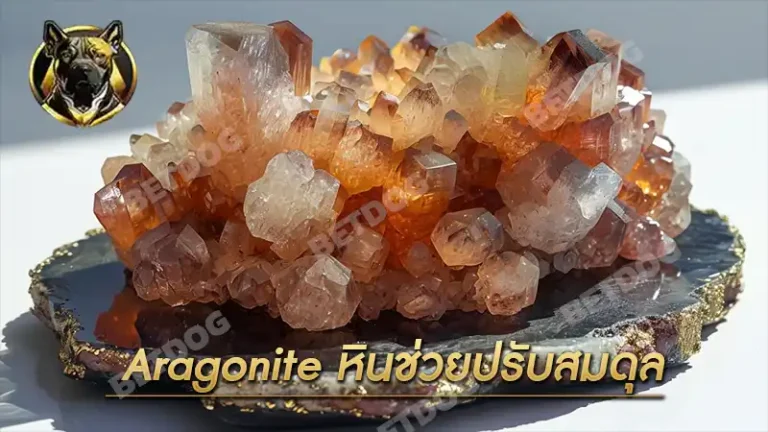 Aragonite หินช่วยปรับสมดุล