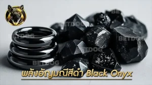พลังอัญมณีสีดำ Black Onyx