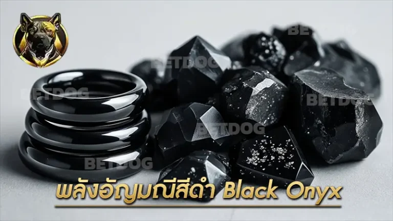 พลังอัญมณีสีดำ Black Onyx