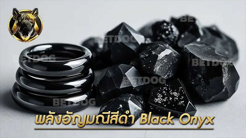 พลังอัญมณีสีดำ Black Onyx