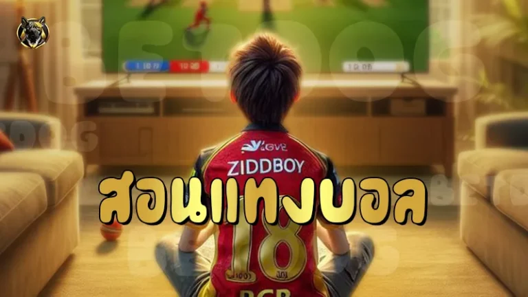 สอนแทงบอล