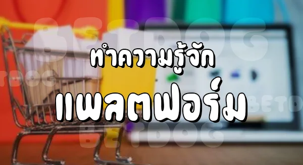 เว็บตรง ของแท้ 1688