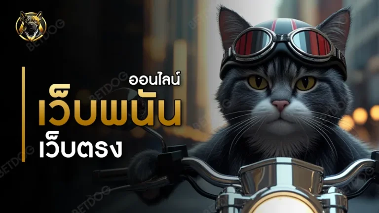 เว็บพนันออนไลน์ เว็บตรง