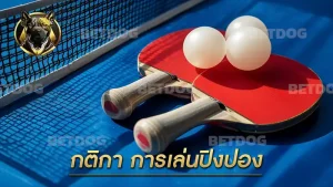 กติกา การเล่นปิงปอง