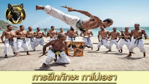 การฝึกทักษะ กาโปเอรา