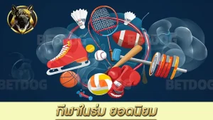 กีฬาในร่ม ยอดนิยม