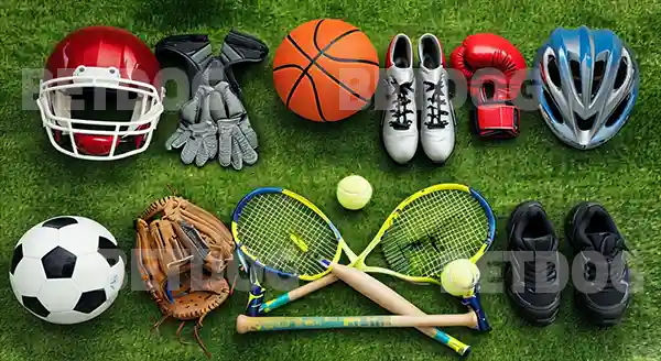 กีฬาในร่ม ยอดนิยม