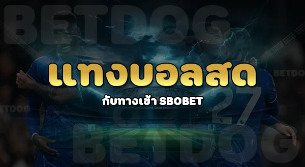 ทางเข้า สโบเบ็ต