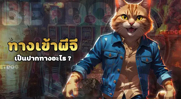 ทางเข้าpg