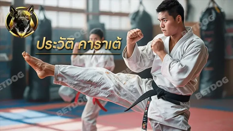 ประวัติ คาราเต้