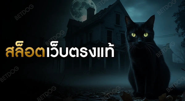 สล็อต เว็บตรงแท้