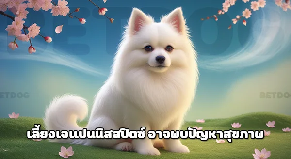 สุนัขเจแปนนิส สปิตซ์