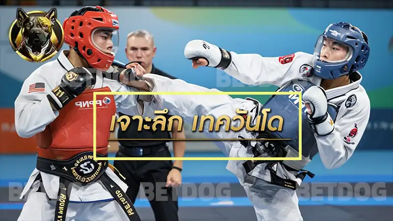 เจาะลึก เทควันโด