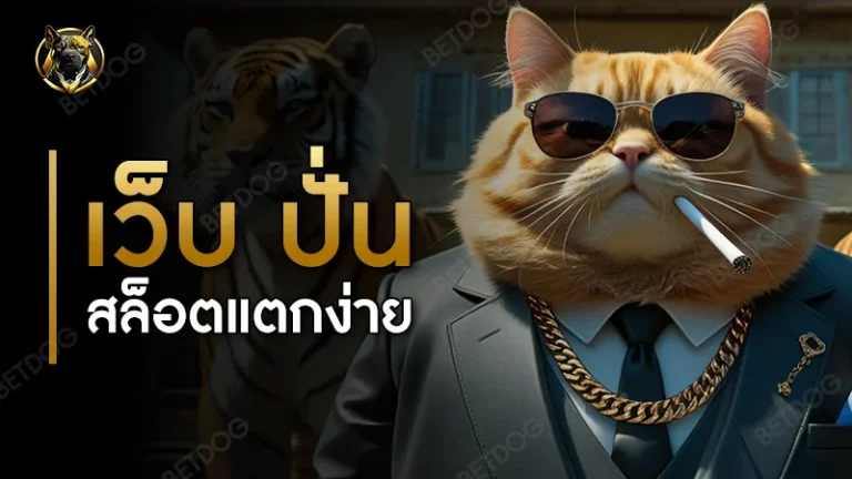 เว็บ ปั่นสล็อตแตกง่าย