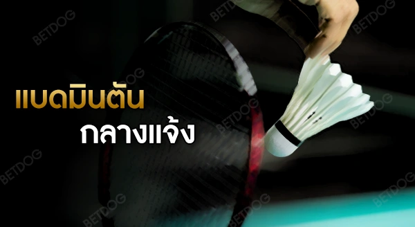 แบดมินตัน กลางแจ้ง