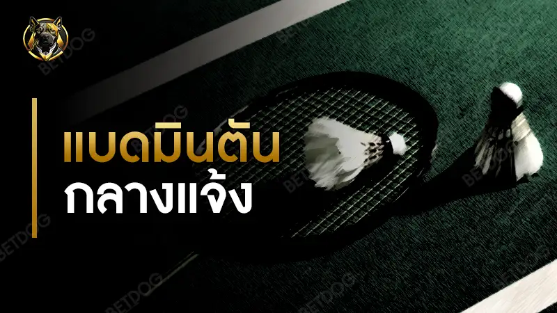 แบดมินตัน กลางแจ้ง