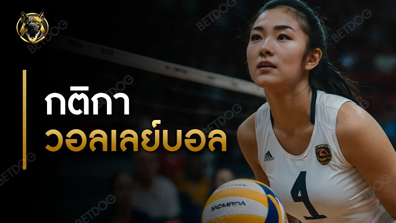 กติกา วอลเลย์บอล