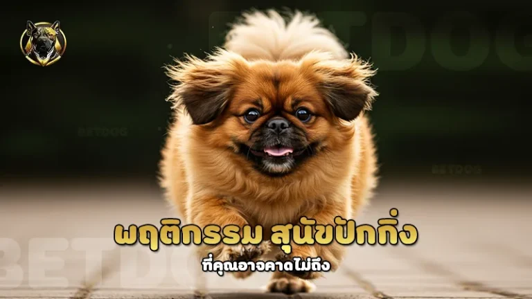 พฤติกรรม สุนัขปักกิ่ง
