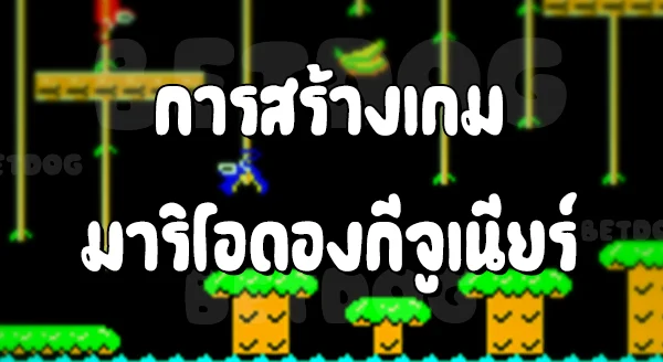 รีวิวมาริโอ Donkey Jr