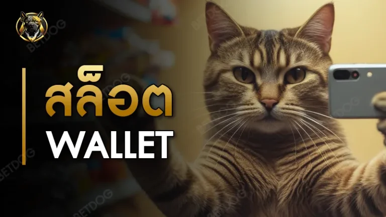 สล็อต wallet