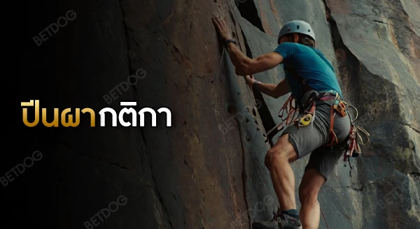 กีฬาปีนผา กติกา