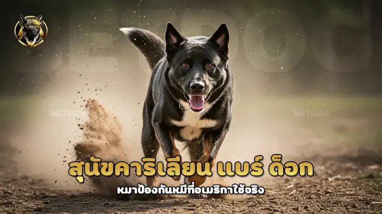 สุนัขคาริเลียน แบร์ ด็อก