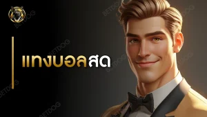 แทงบอล สด