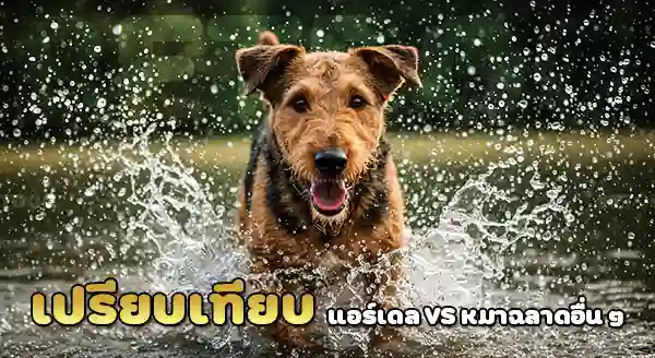 แอร์เดลเทอร์เรีย ฉลาดไหม