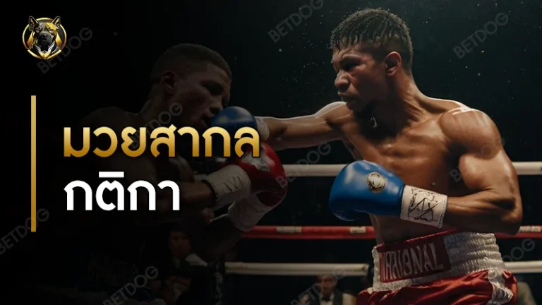 มวยสากล กติกา