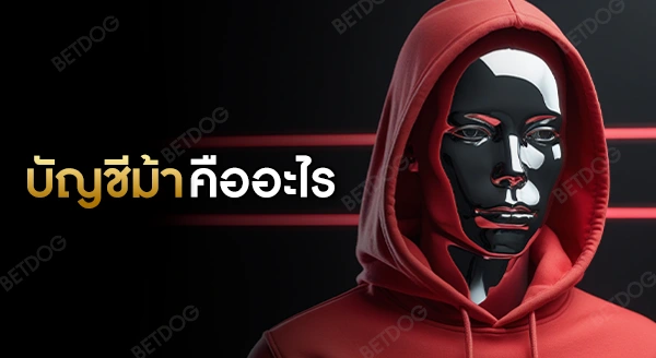 บัญชีม้า คืออะไร