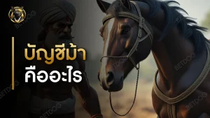 บัญชีม้า คืออะไร