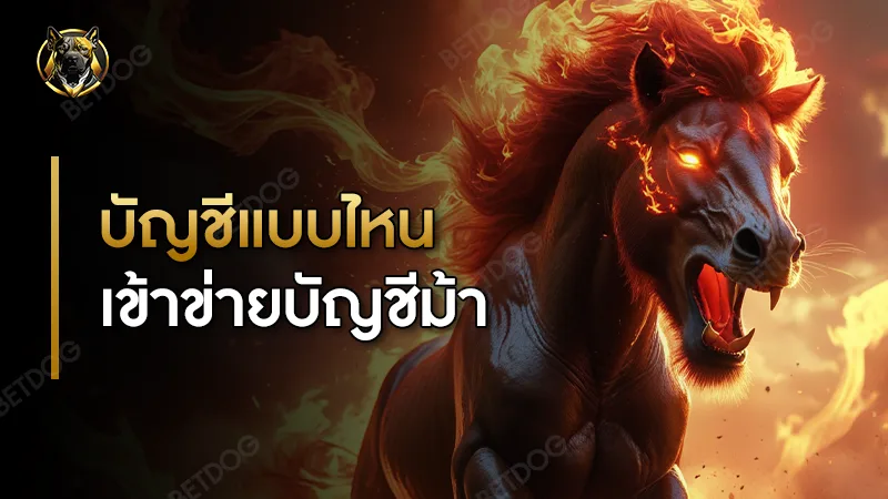 บัญชีแบบไหน เข้าข่ายบัญชีม้า