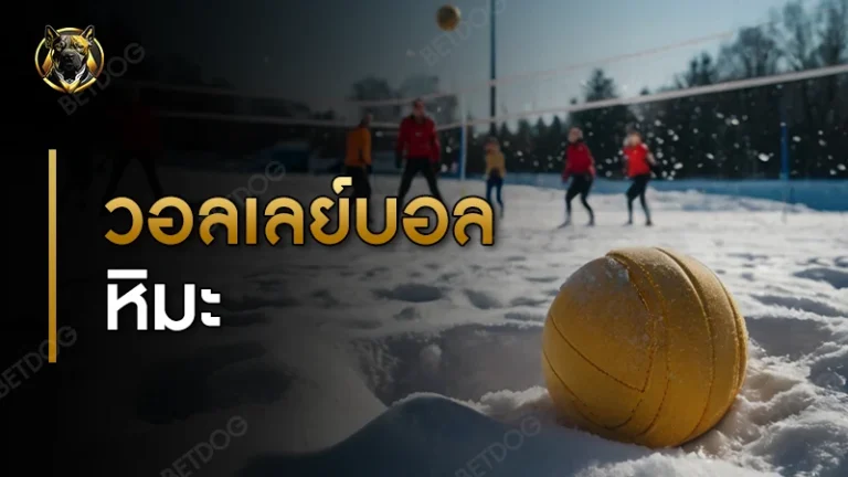 วอลเลย์บอลหิมะ กติกา