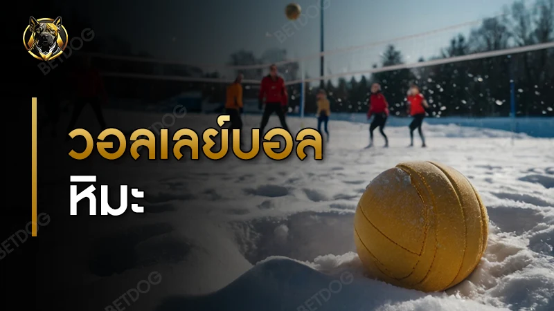 วอลเลย์บอลหิมะ กติกา