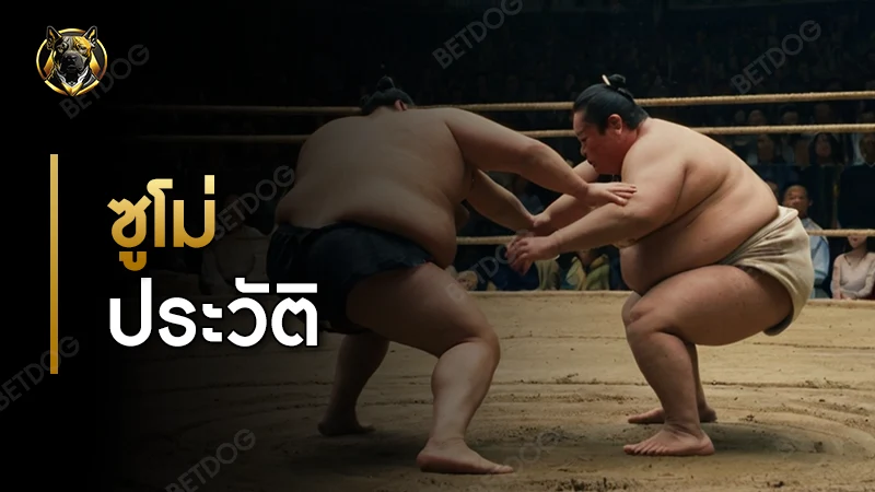 ซูโม่ ประวัติ