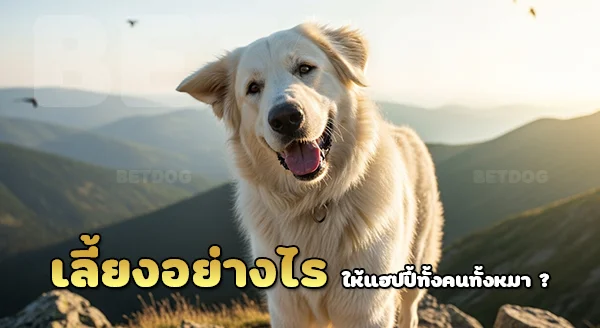 เลี้ยงสโลวัก คูวัค