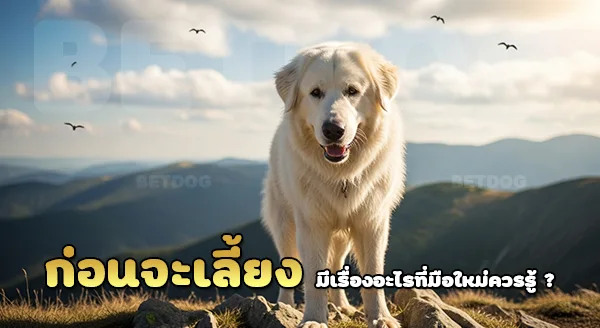 เลี้ยงสโลวัก คูวัค