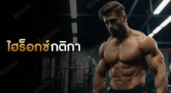 ไฮร็อกซ์ กติกา