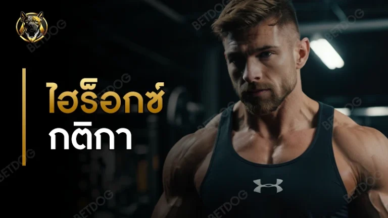 ไฮร็อกซ์ กติกา