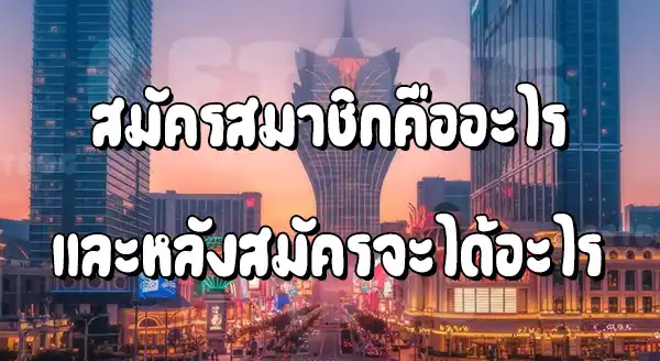 สมัคร แทงบอล